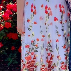 Prom/Homecoming dress